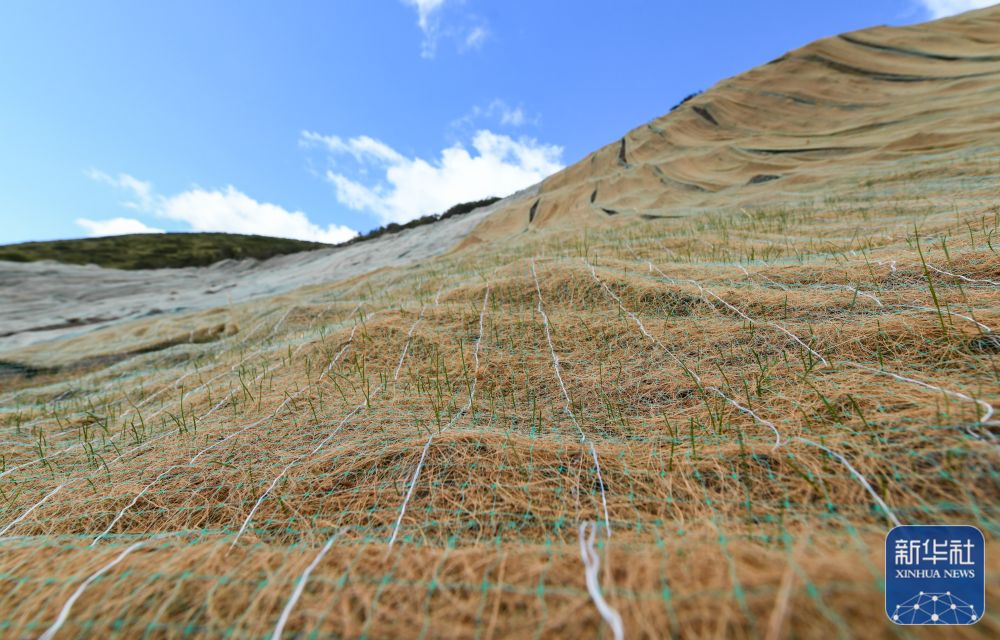 新华全媒+丨新时代中国调研行·黄河篇丨“铺毯子”“盖被子”——椰丝毯创新草原复绿模式