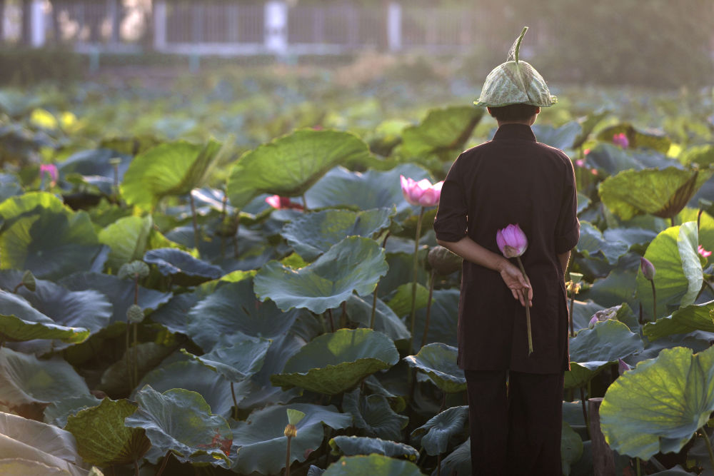 镜观世界｜河内：在“百花春城”感受千年古城的生机