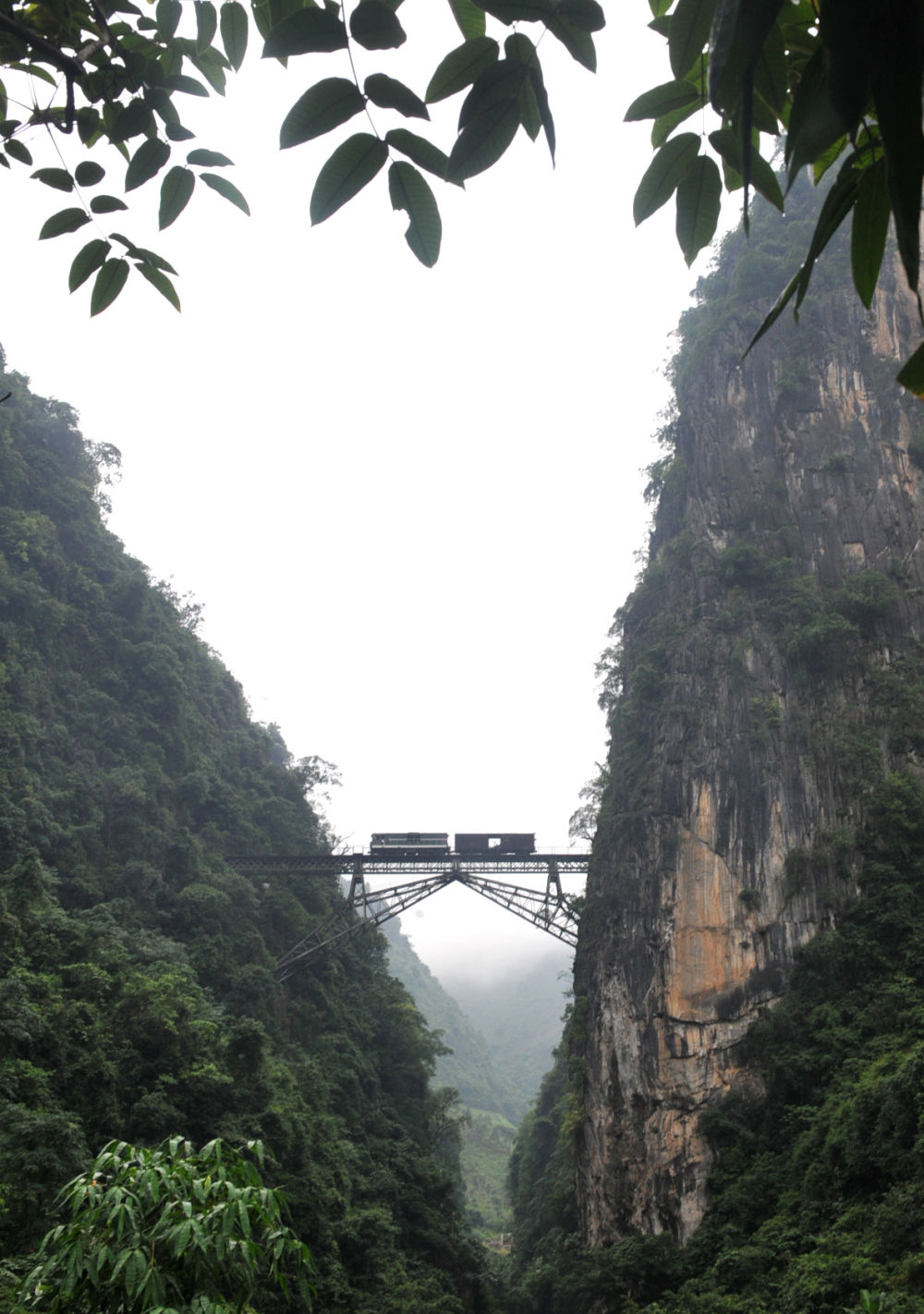 时政镜距离｜百年米轨见证的友谊