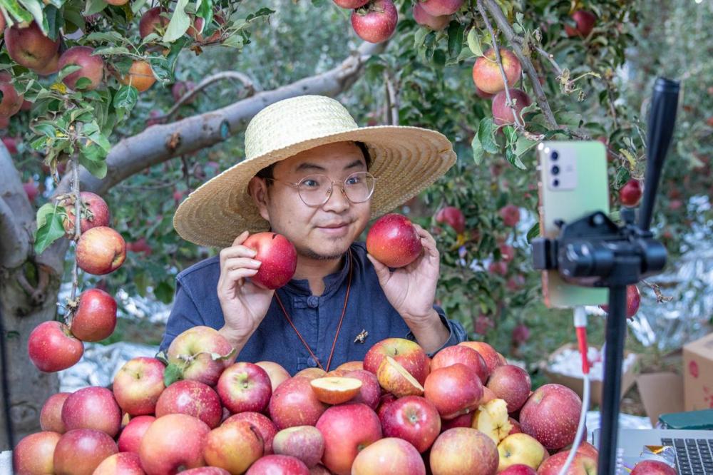 直播电商，点亮乡村振兴路