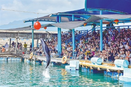 海南春节消费创佳绩 消博会联手免税业谋划新热点