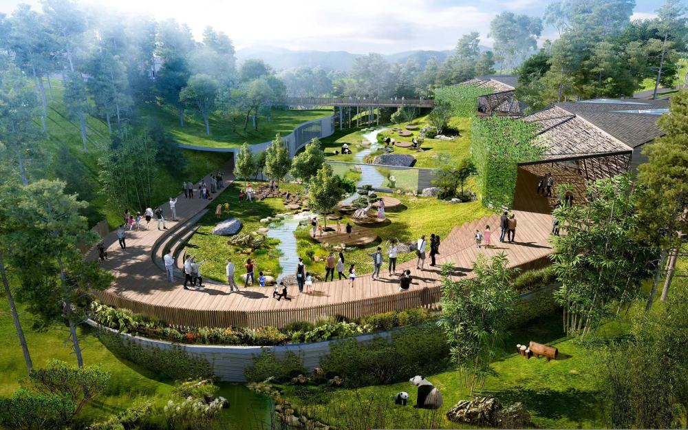 北京房山大熊猫基地明年开园50只大熊猫将落户北京