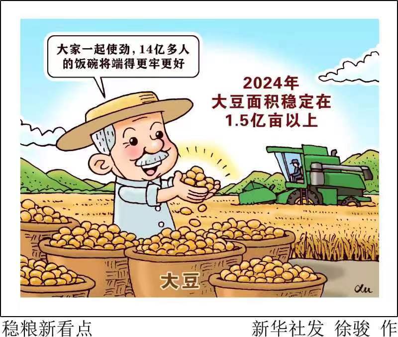 中国稳粮新看点！ “金豆豆”1.5亿亩以上