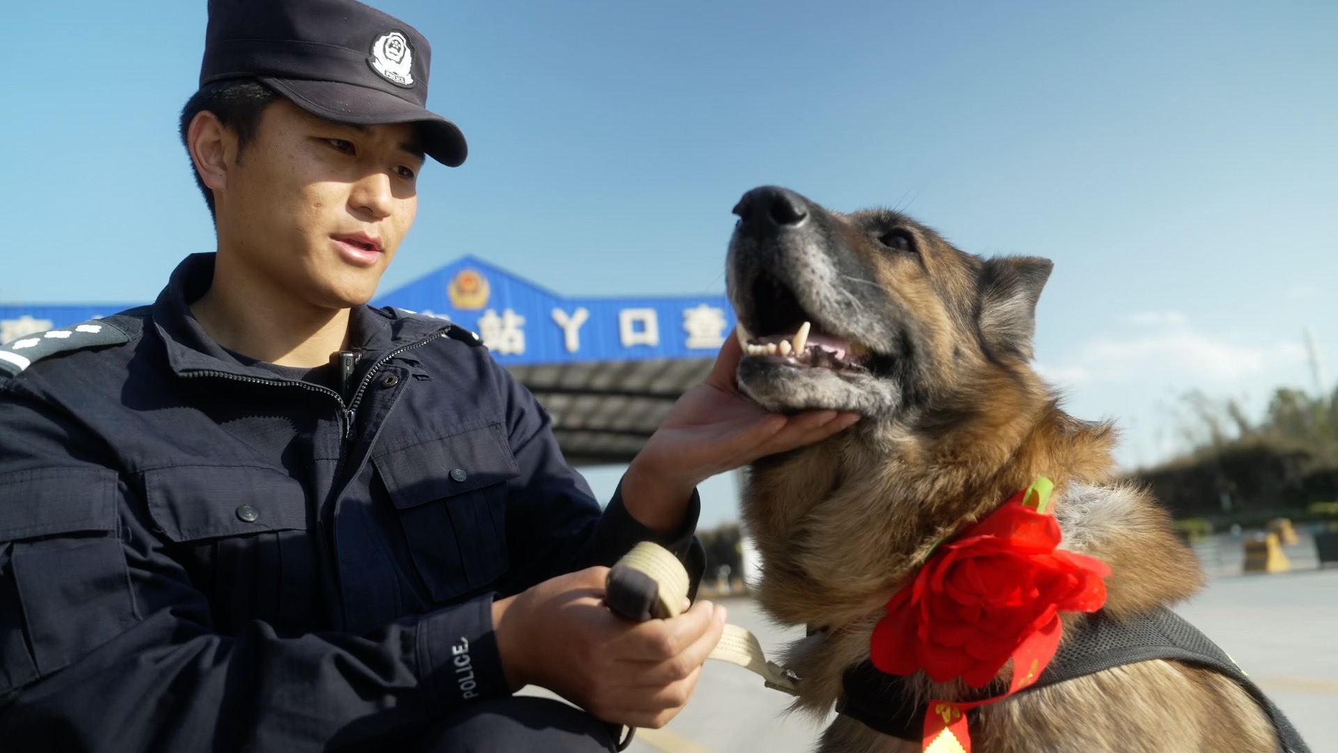 警犬龙虎光荣退役 后辈警犬衔来大红花