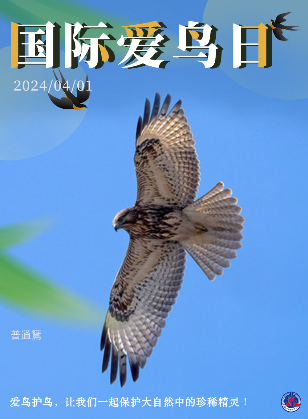 海报丨国际爱鸟日爱鸟护鸟让我们一起保护大自然中的珍稀精灵