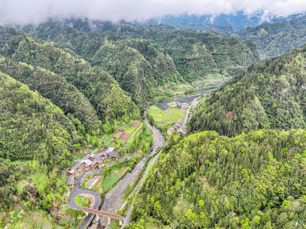 武陵山间绘春色