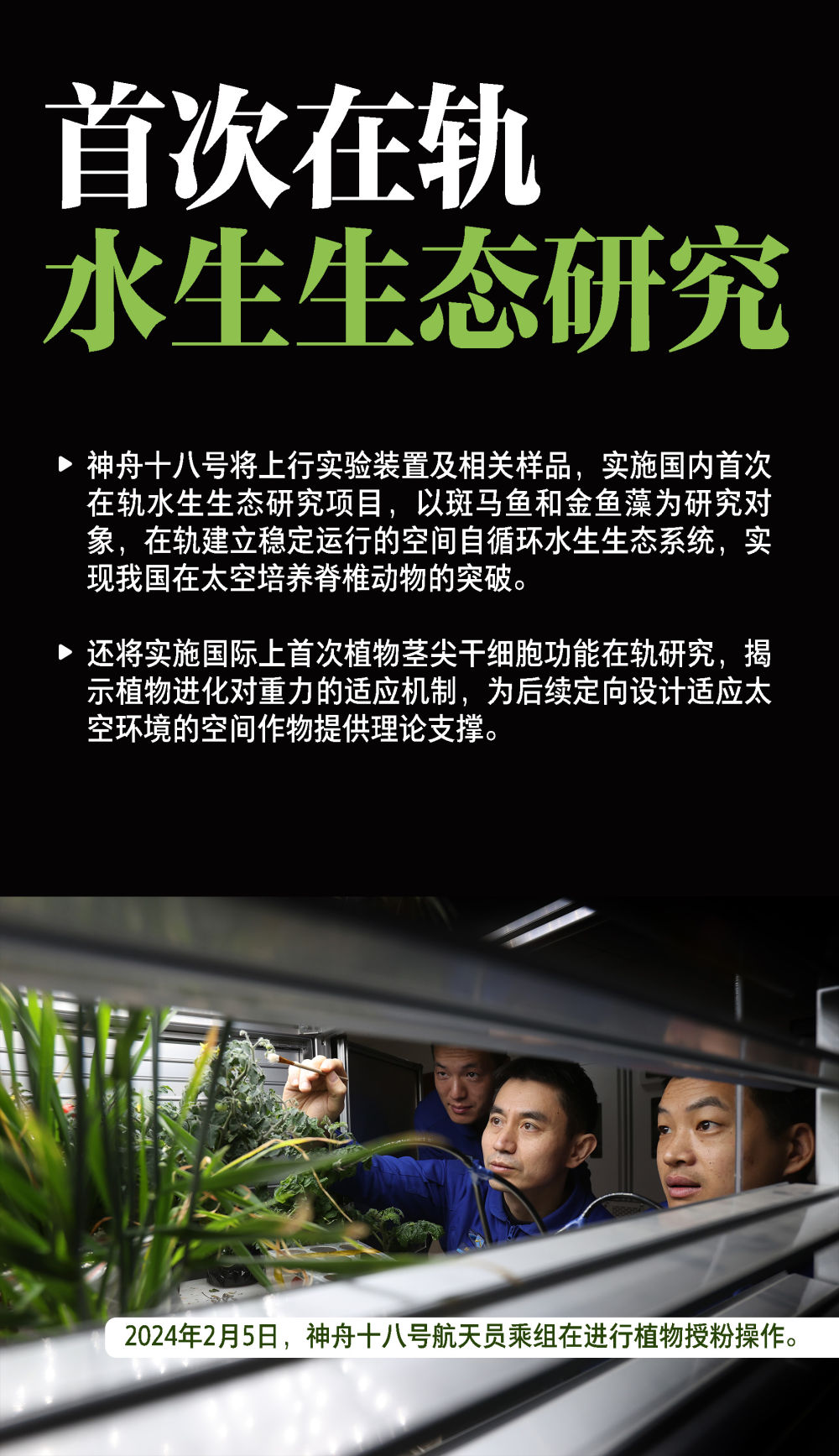 神舟十八号载人飞行任务看点速览