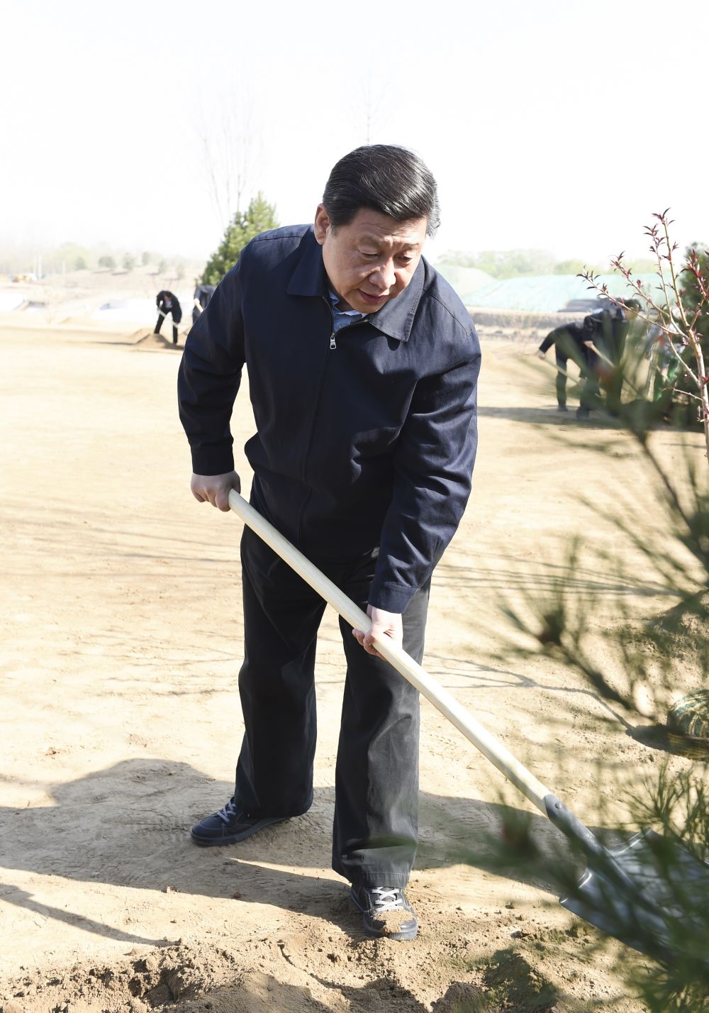 镜观·领航｜这些照片，记录着总书记的植绿坚守