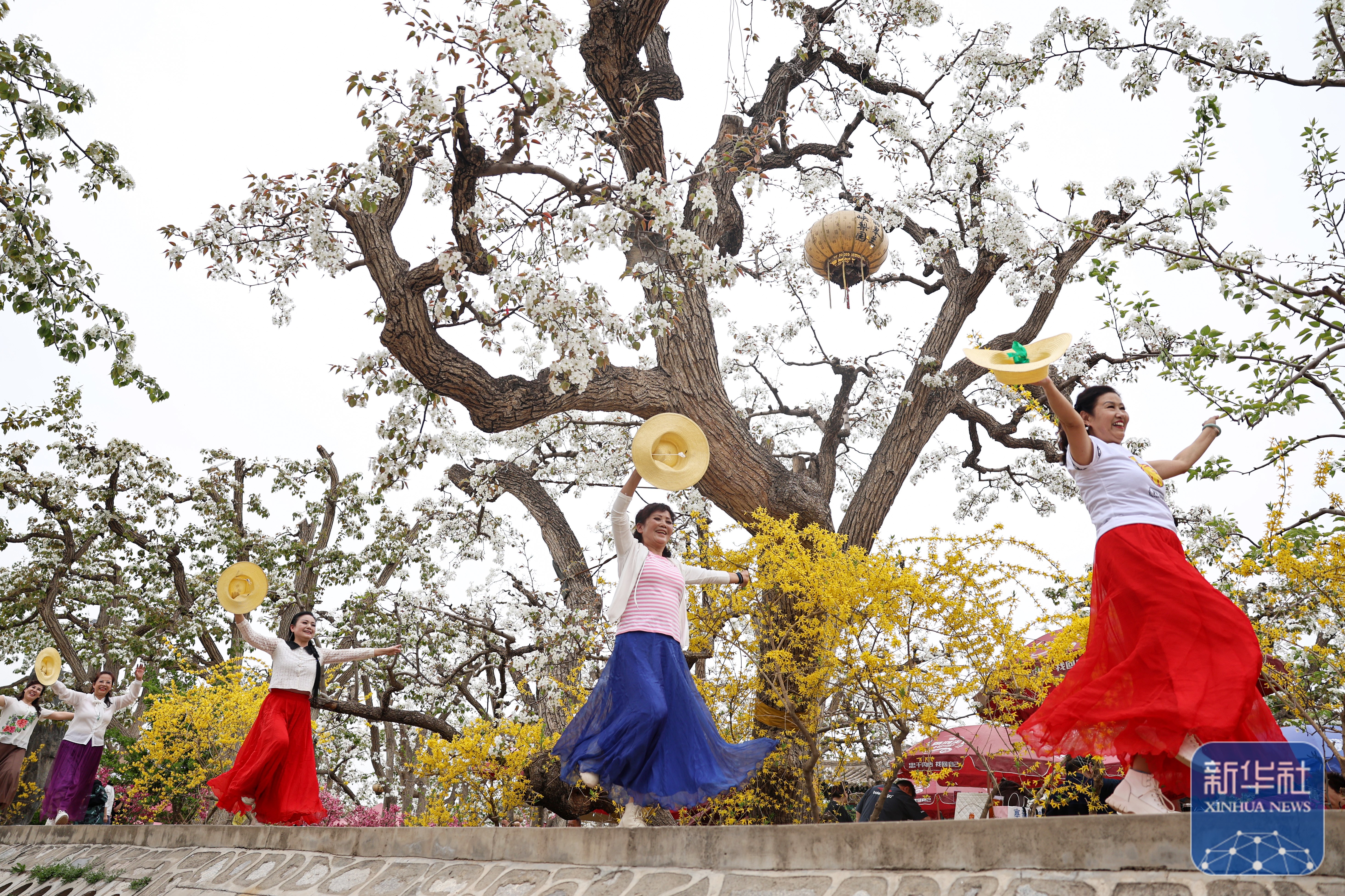诗意中国丨春日上春山