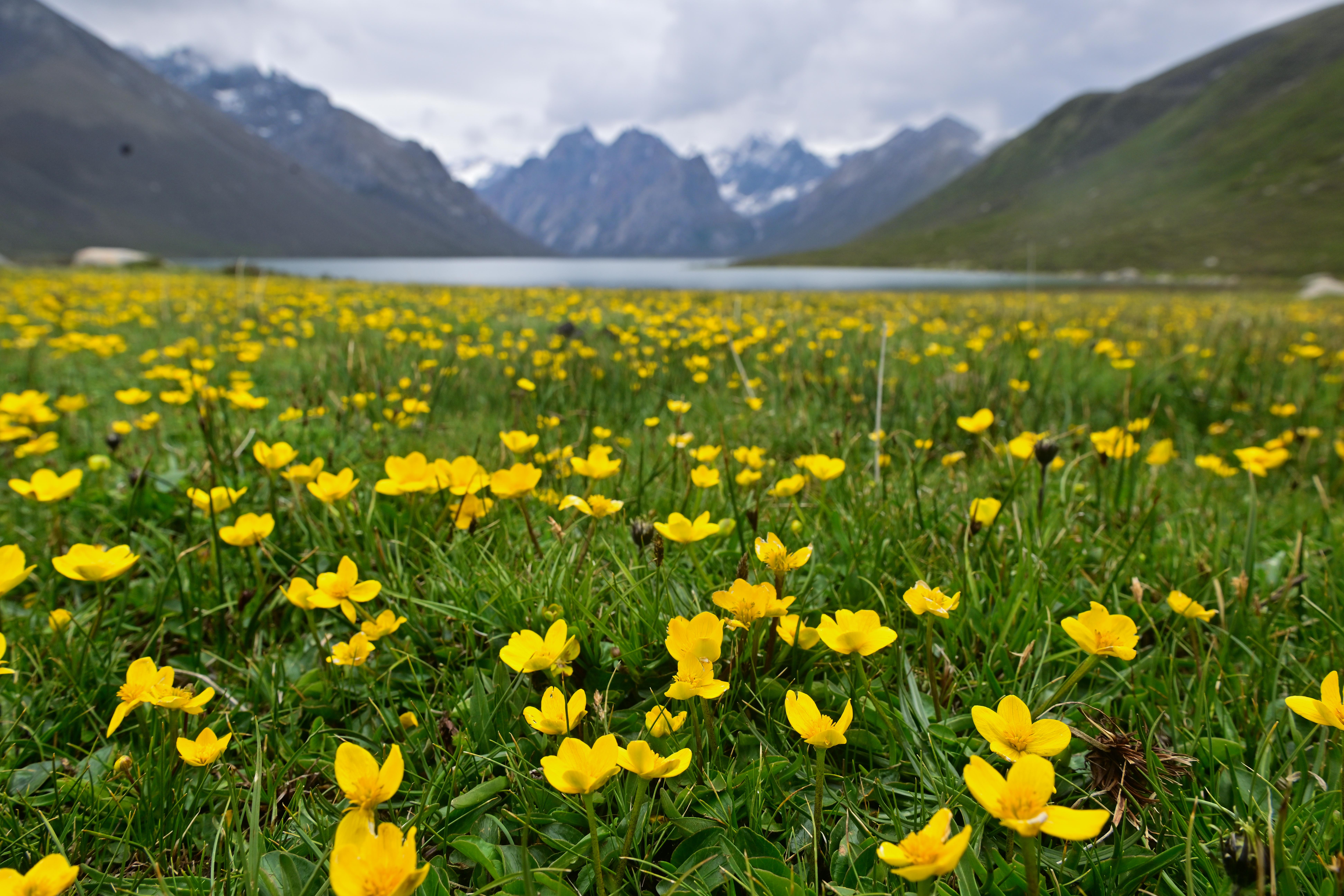 坚持以高水平保护支撑高质量发展——落实新时代推动