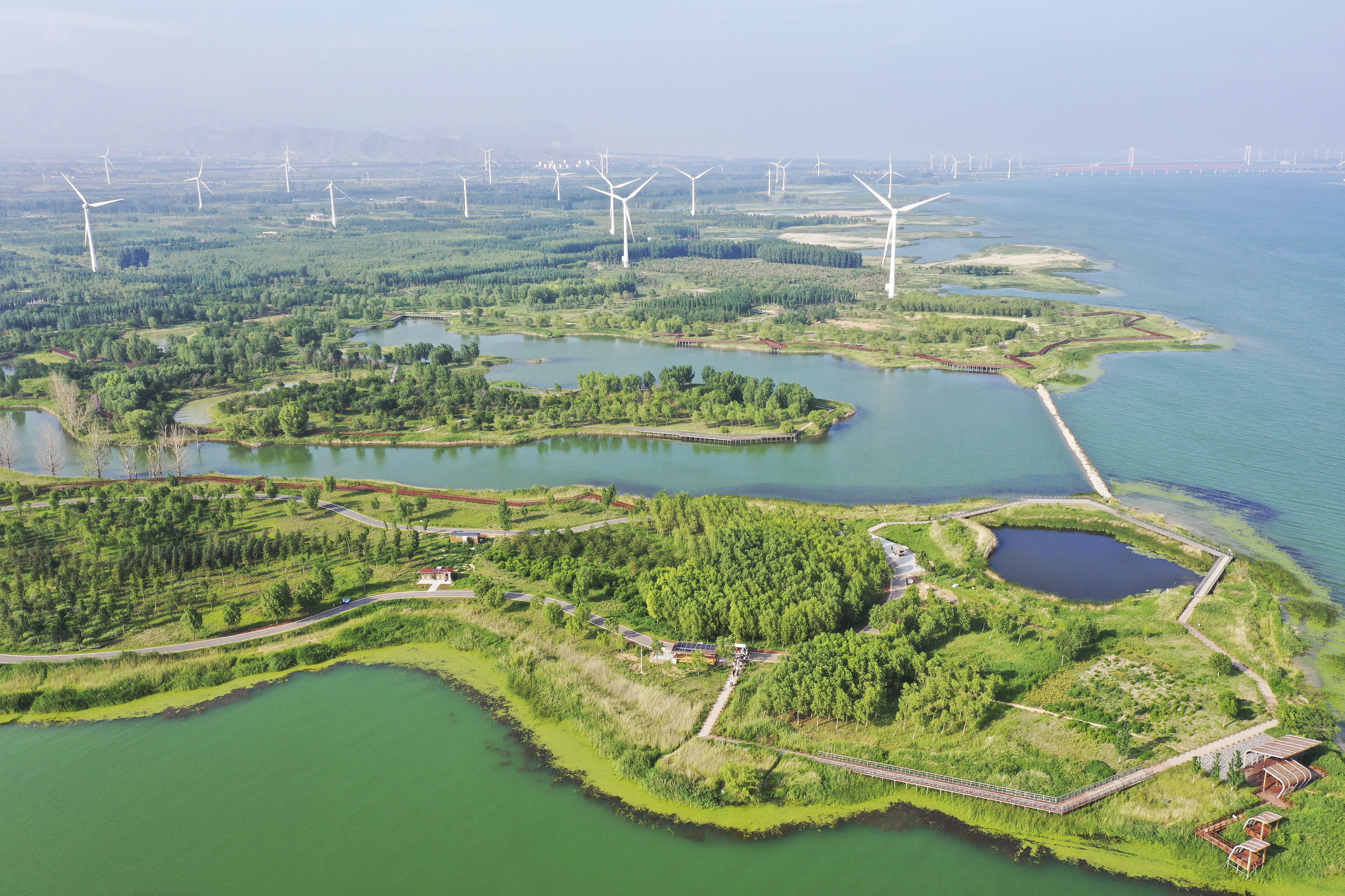 邻水县大洪河水库图片