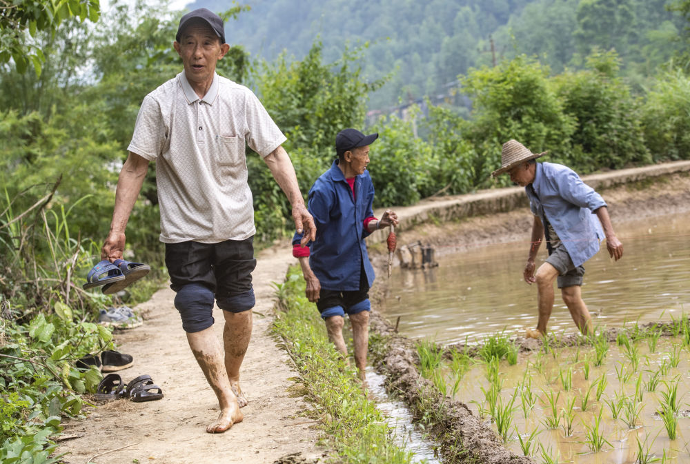 镜观·非遗丨酉阳阳戏艺人：一手耕田一手戏