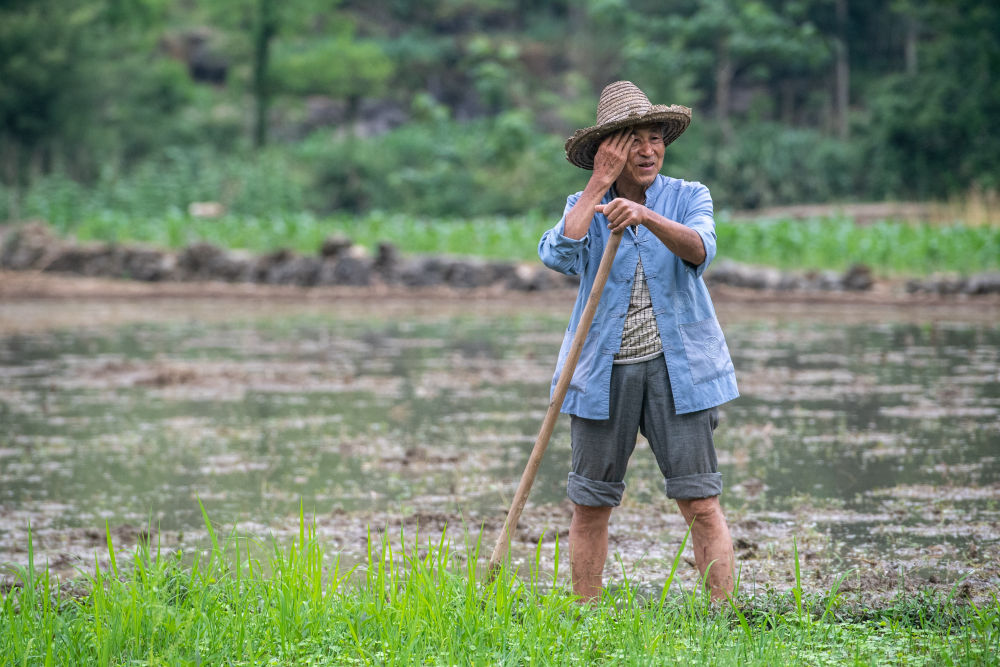 镜观·非遗丨酉阳阳戏艺人：一手耕田一手戏