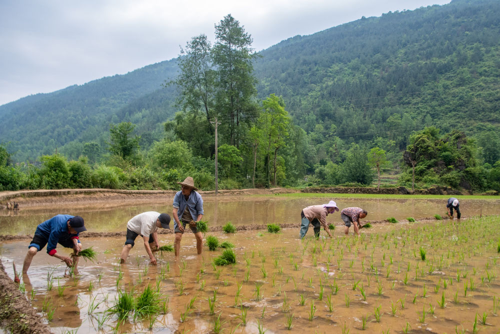 镜观·非遗丨酉阳阳戏艺人：一手耕田一手戏