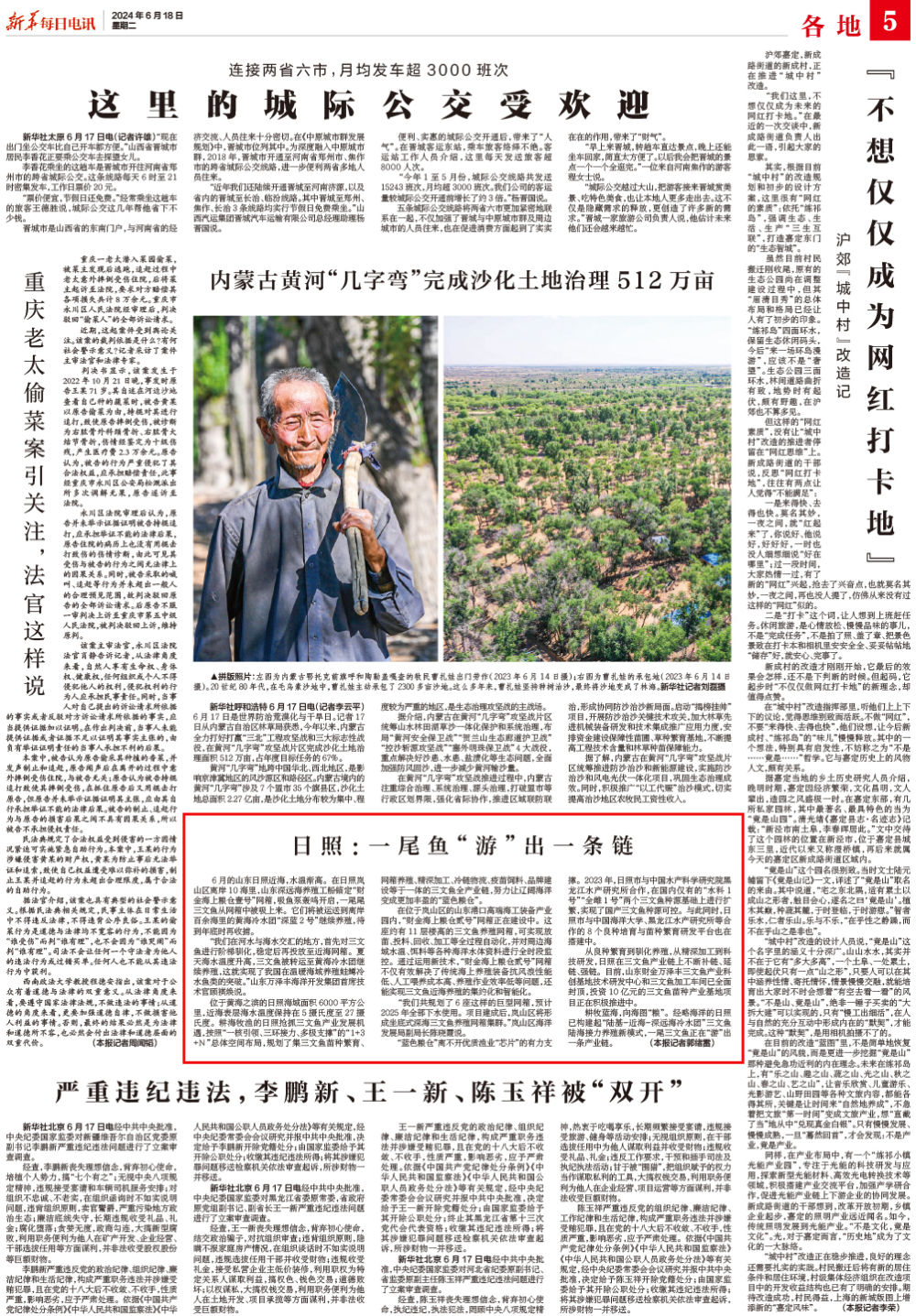 山东日照：一尾鱼“游”出一条链