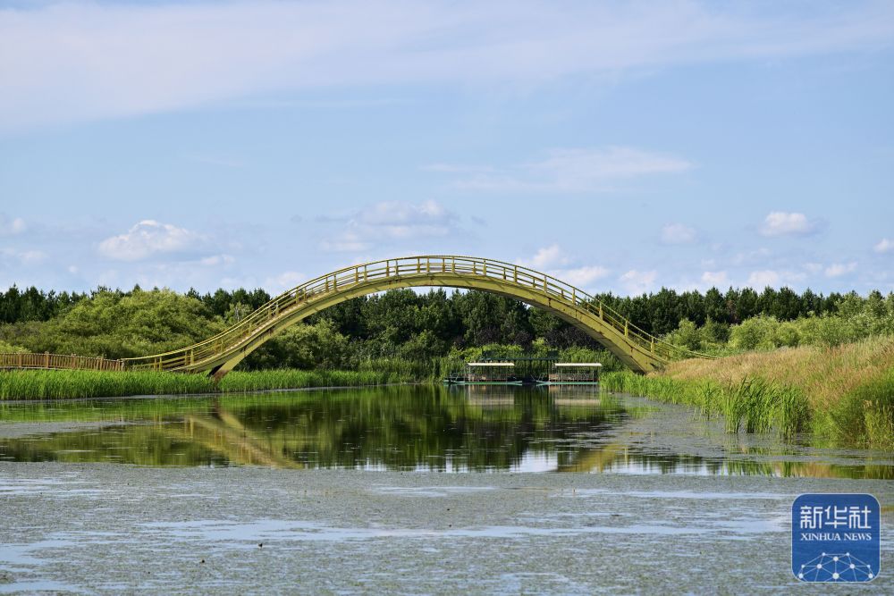 探访同江三江口国家湿地公园