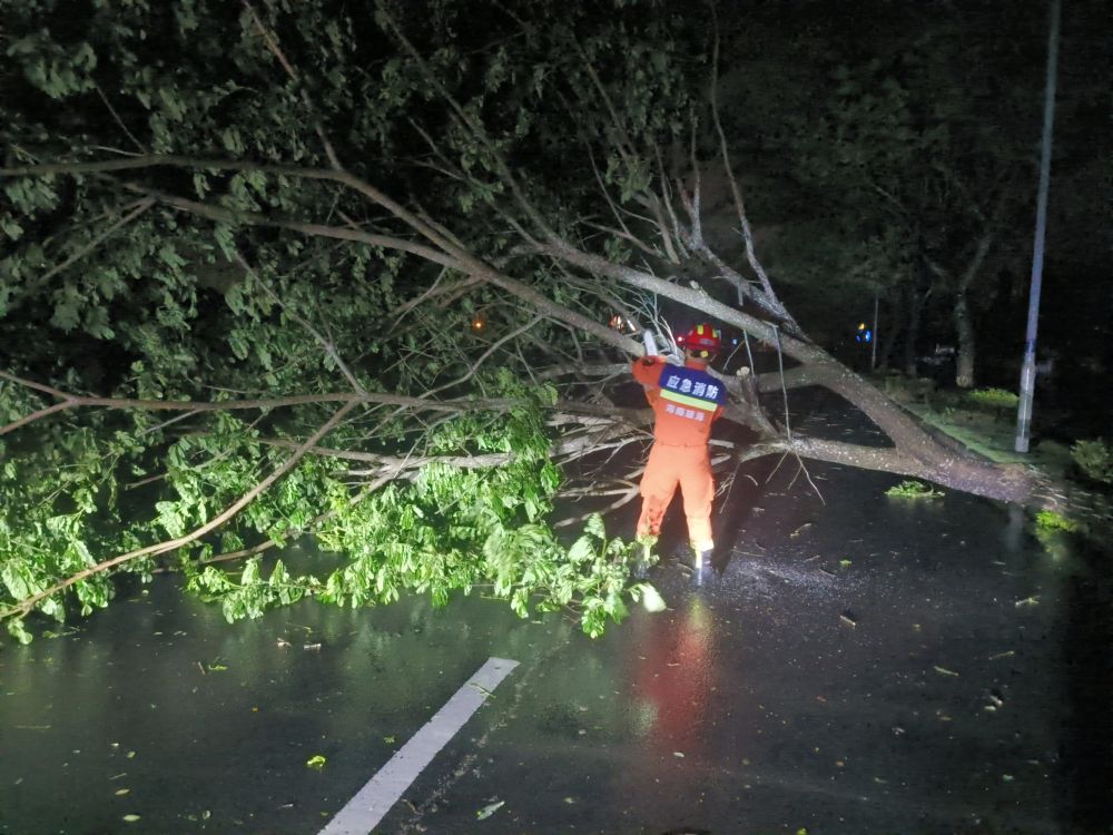 台风路径实时发布系统 “派比安”趋向广西和越南交界沿海