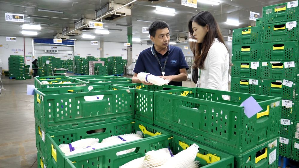 为何上涨?何时回稳?——透视当前蔬菜价格走势