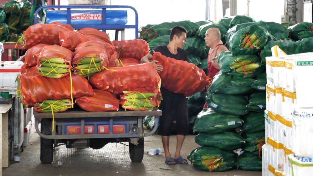 为何上涨?何时回稳?——透视当前蔬菜价格走势