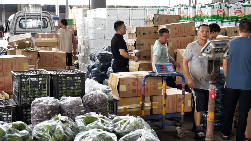 为何上涨?何时回稳?——透视当前蔬菜价格走势