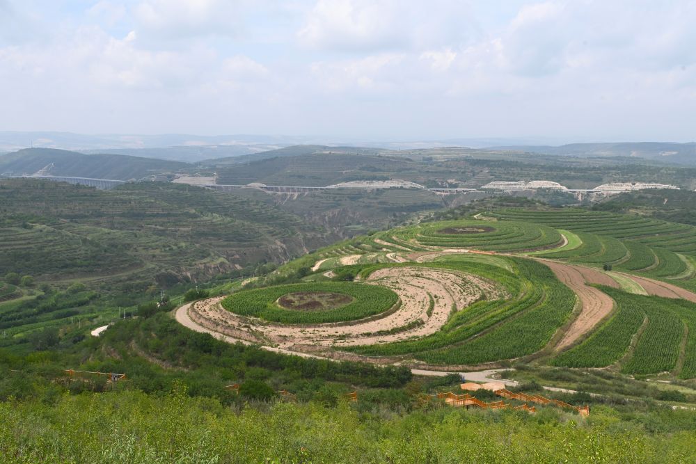 这是8月6日在宁夏固原市彭阳县拍摄的梯田景色.