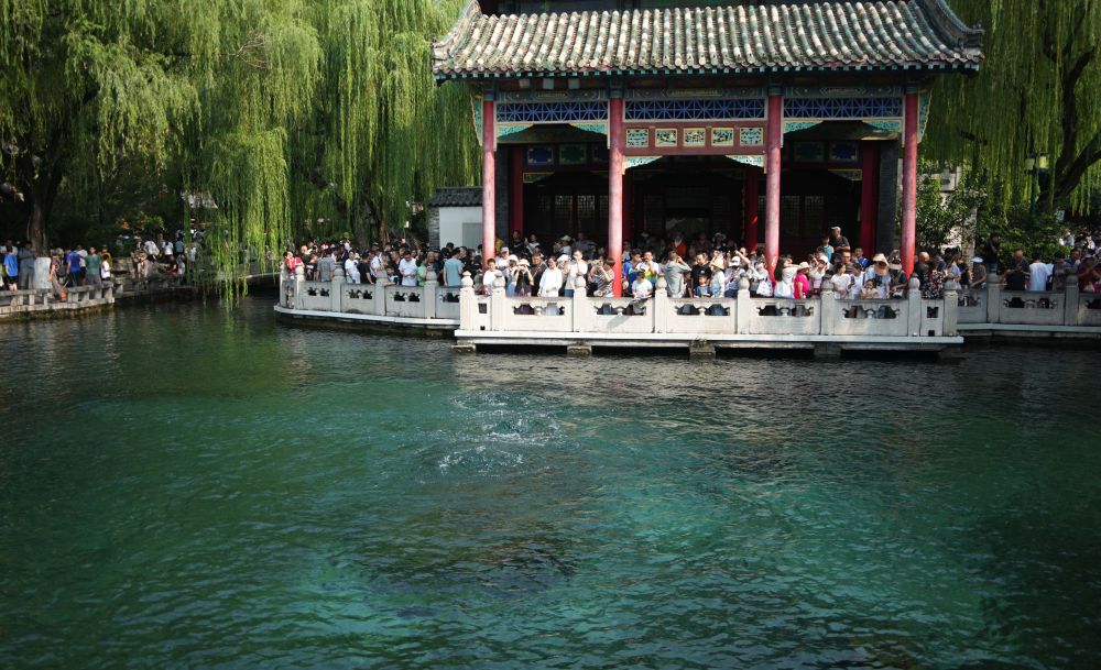 新华社关注济南：趵突泉喷涌有力 “趵突腾空”美景重现