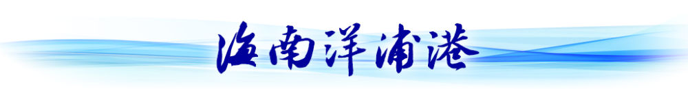 衛(wèi)星視角看中國(guó)｜循著總書記關(guān)切，看西部陸海新通道建設(shè)新貌