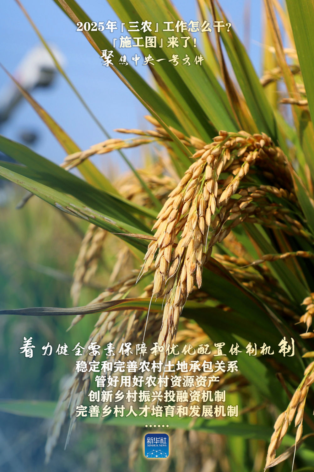 聚焦中央一号文件｜2025年“三农”工作怎么干？“施工图”来了！