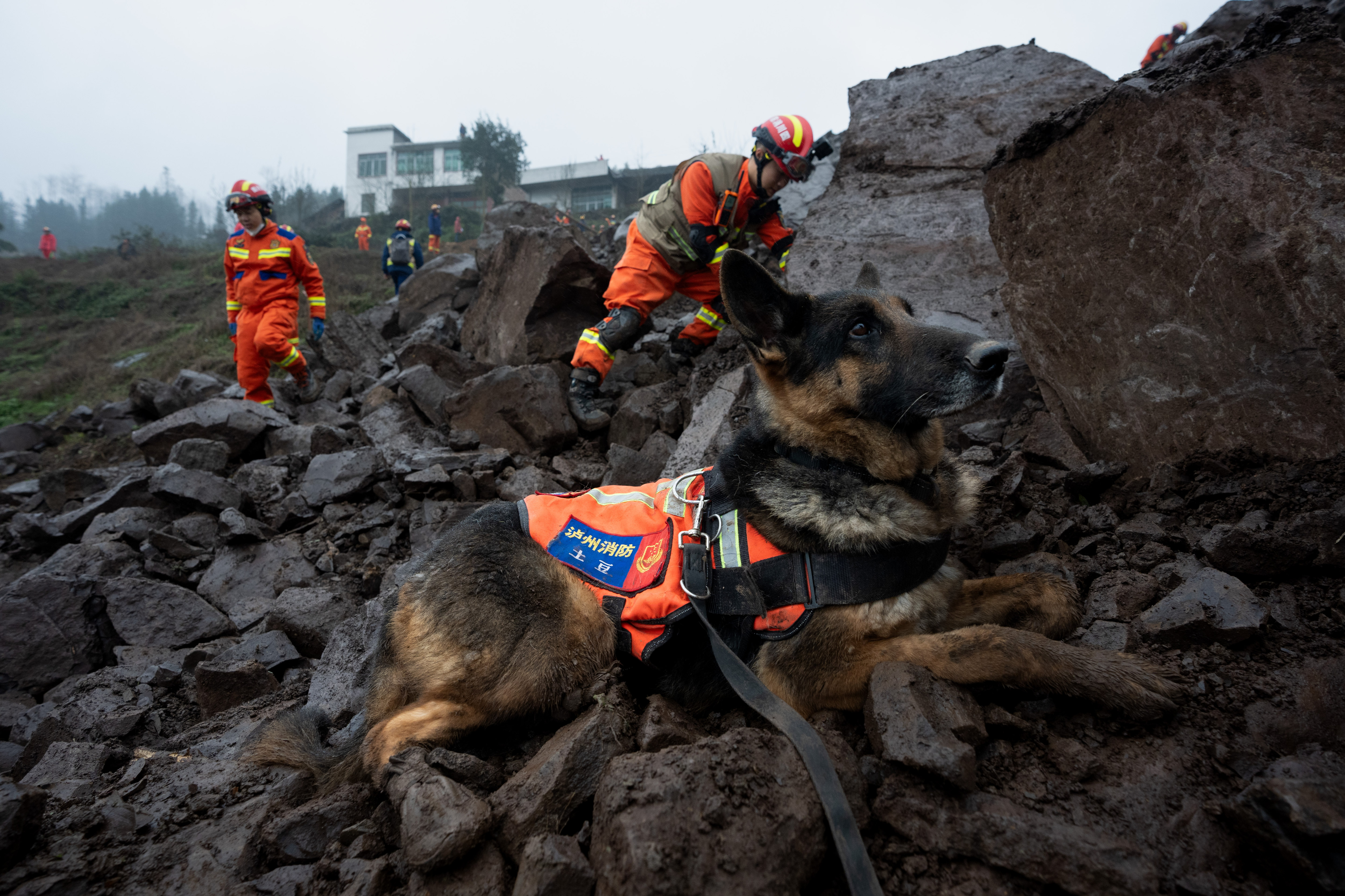 我在现场·照片背后的故事