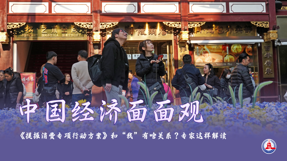 中国经济面面观|《提振消费专项行动方案》和“我”有啥关系?专家这样解读