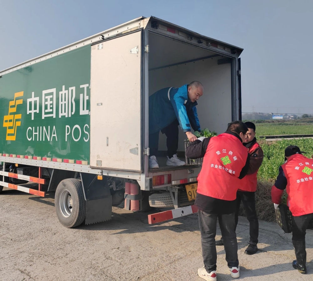 重庆垫江：“邮运通”畅通农村寄递物流