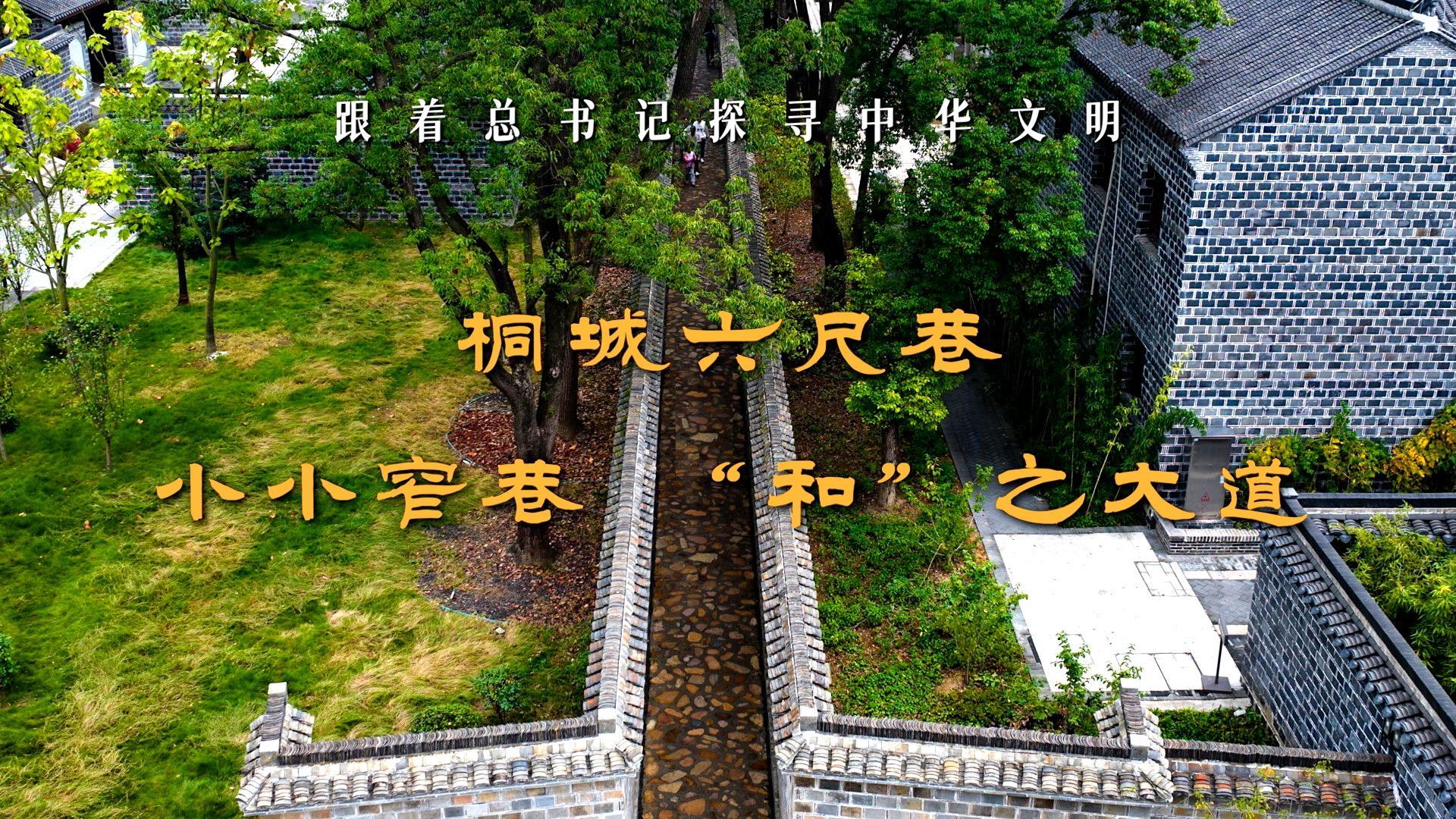 点击查看完整视频