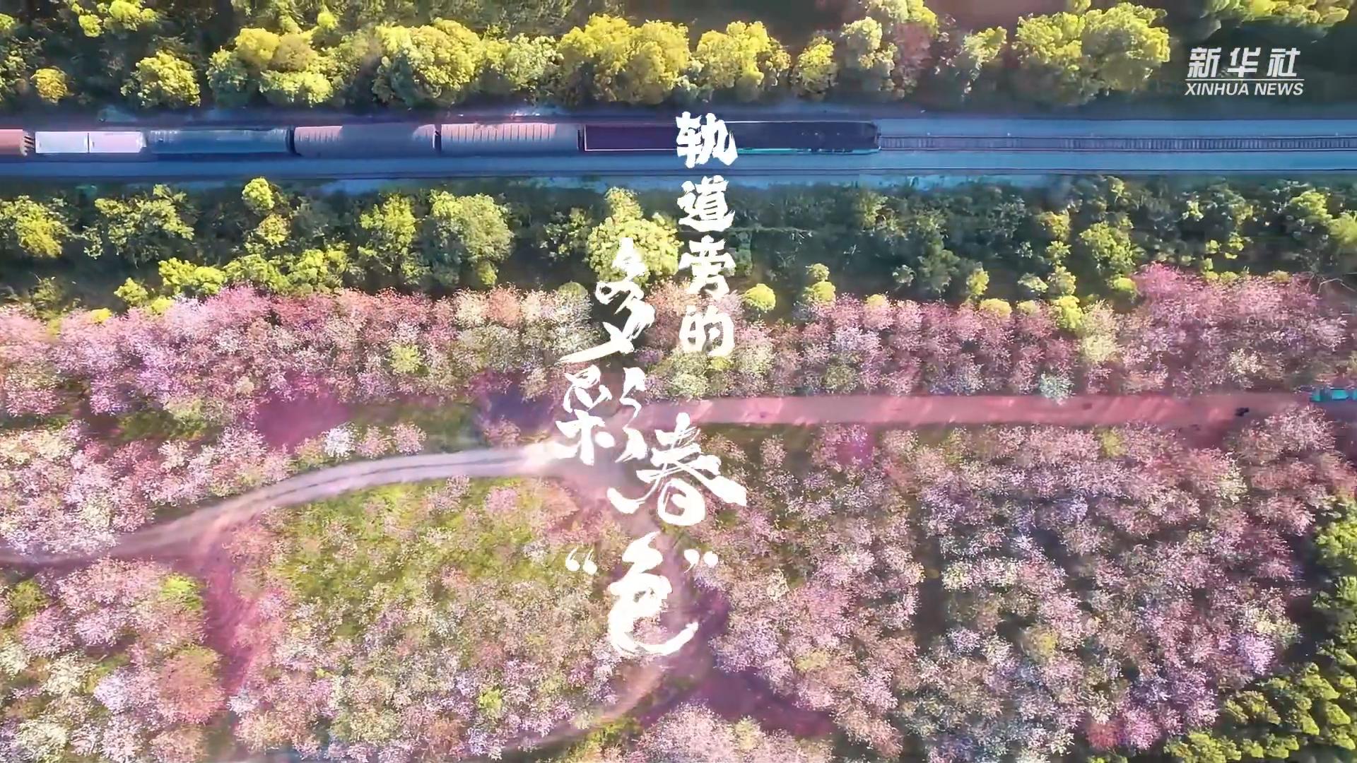 轨道旁的多彩春“色”