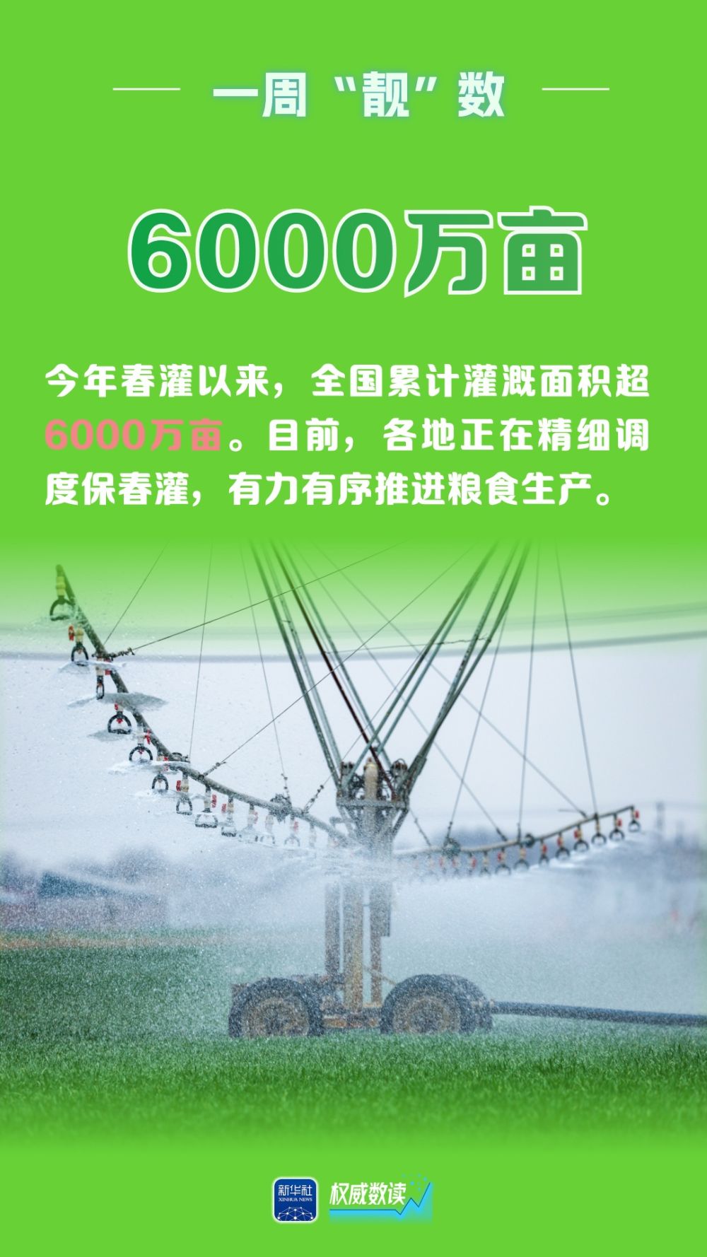 权威数读|一周“靓”数