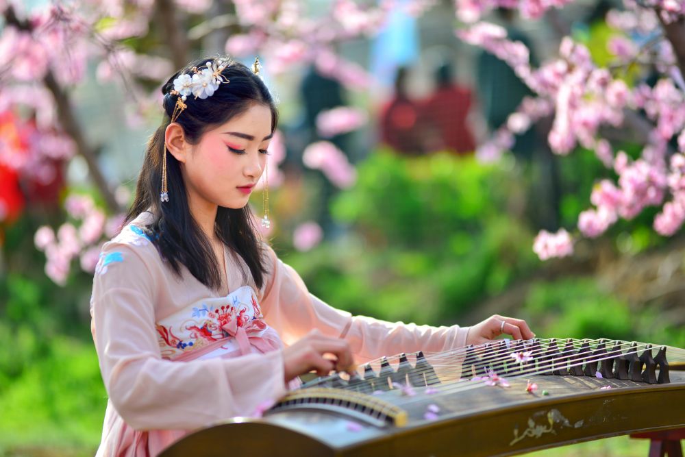 游客身穿漢服在桃花林中彈奏音樂。新華社發（陳強攝）