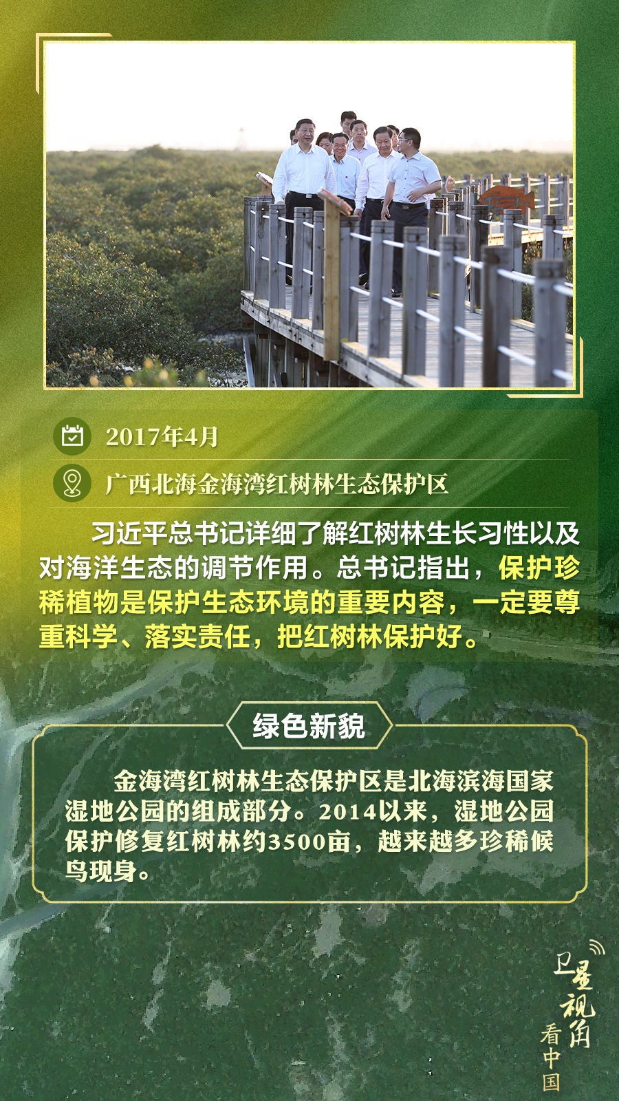 跟著總書記足跡“瞰”林海