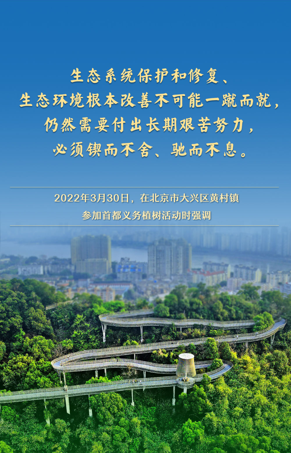 金句｜总书记情系“绿色家底”