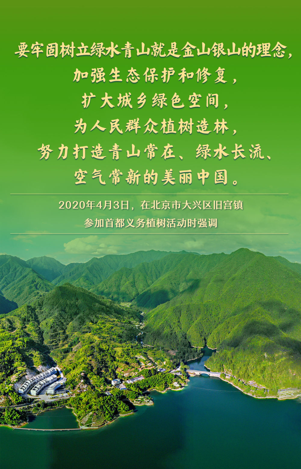 金句｜总书记情系“绿色家底”