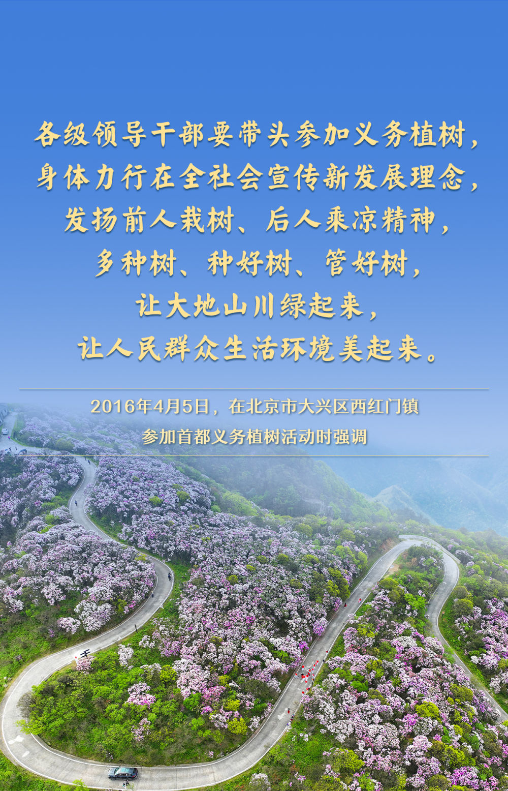金句｜总书记情系“绿色家底”