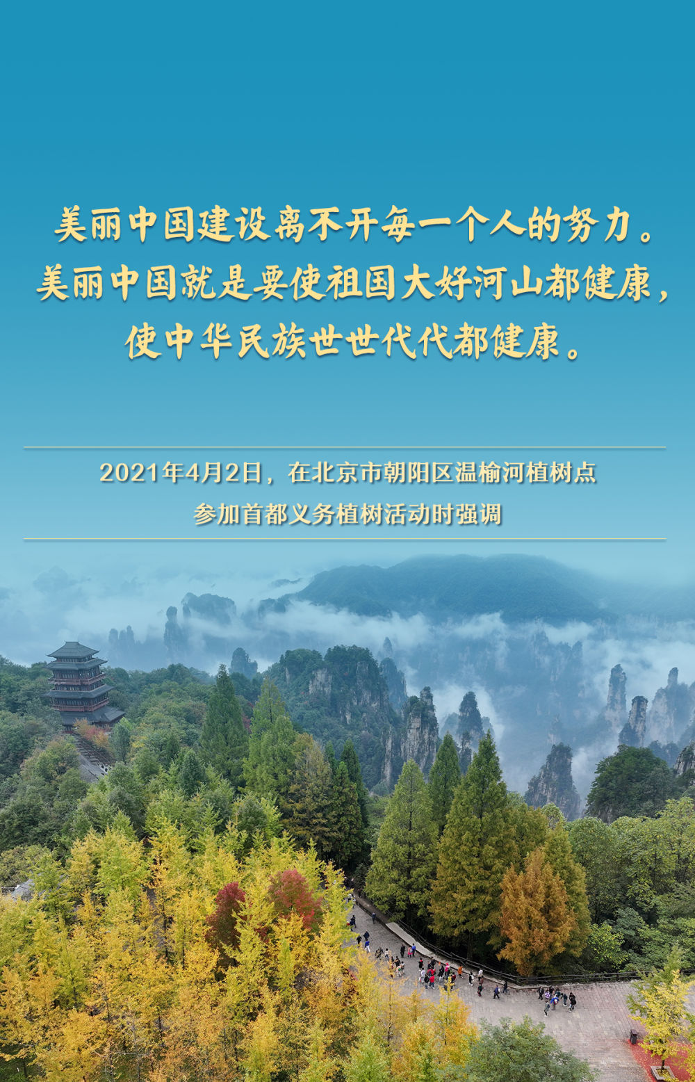 金句｜总书记情系“绿色家底”