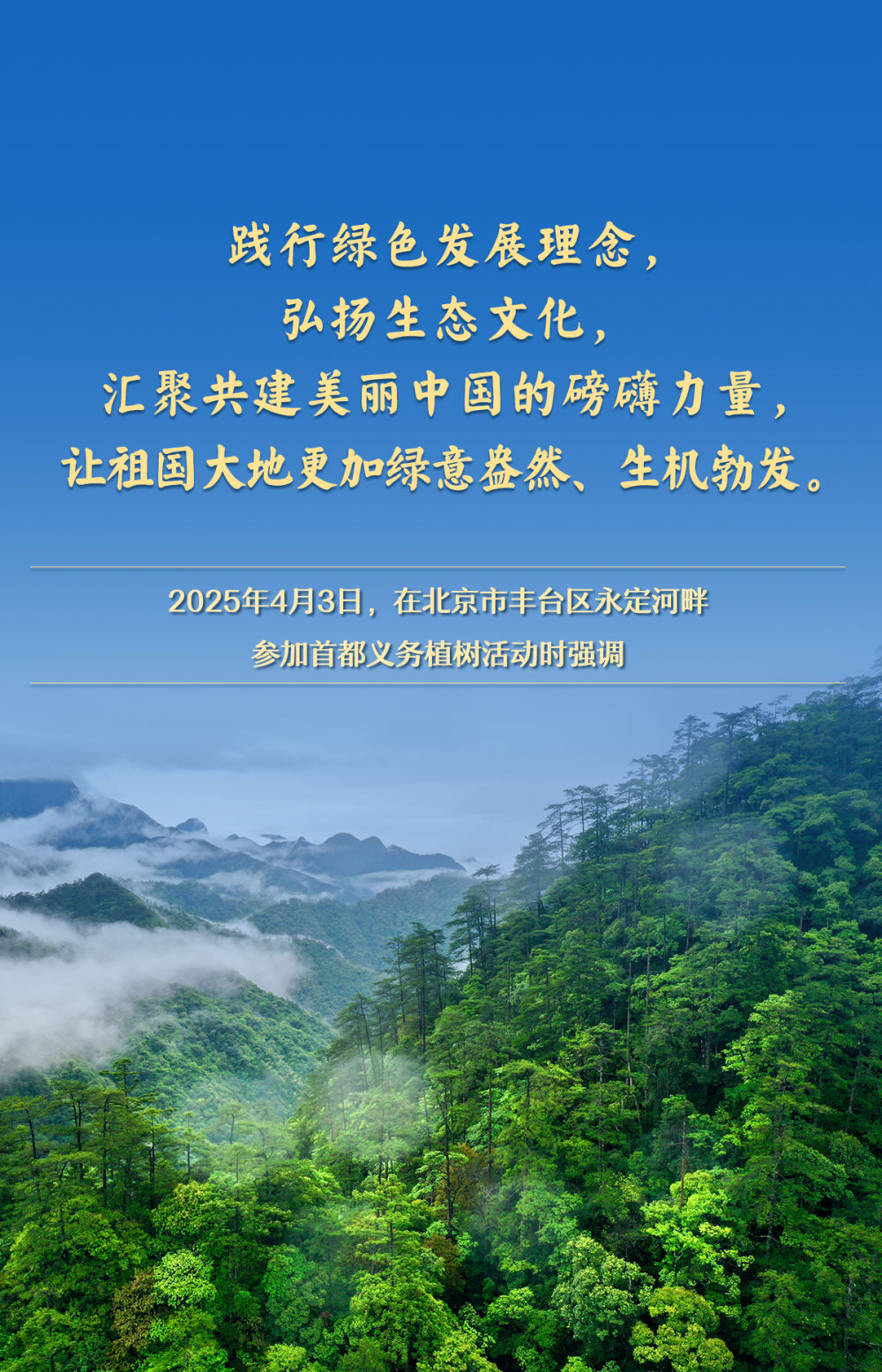 金句｜总书记情系“绿色家底”