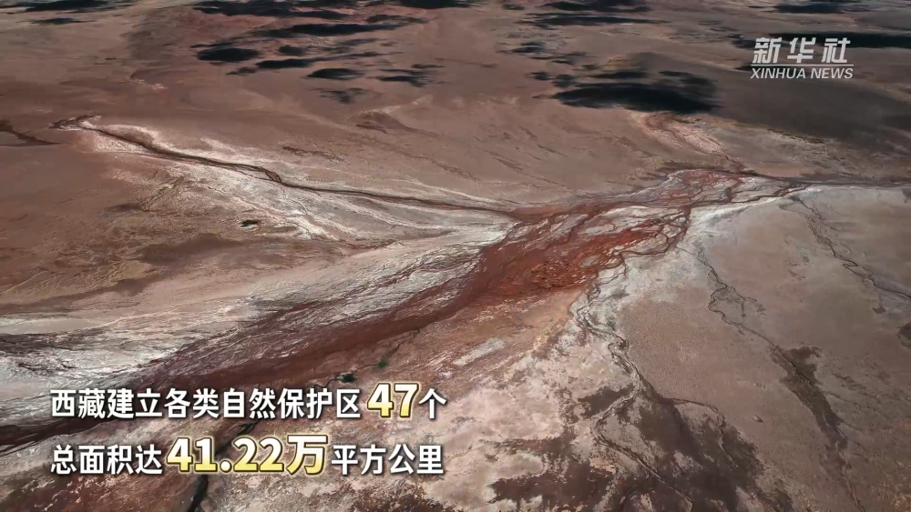 西藏平和解放74周年·生态有看护