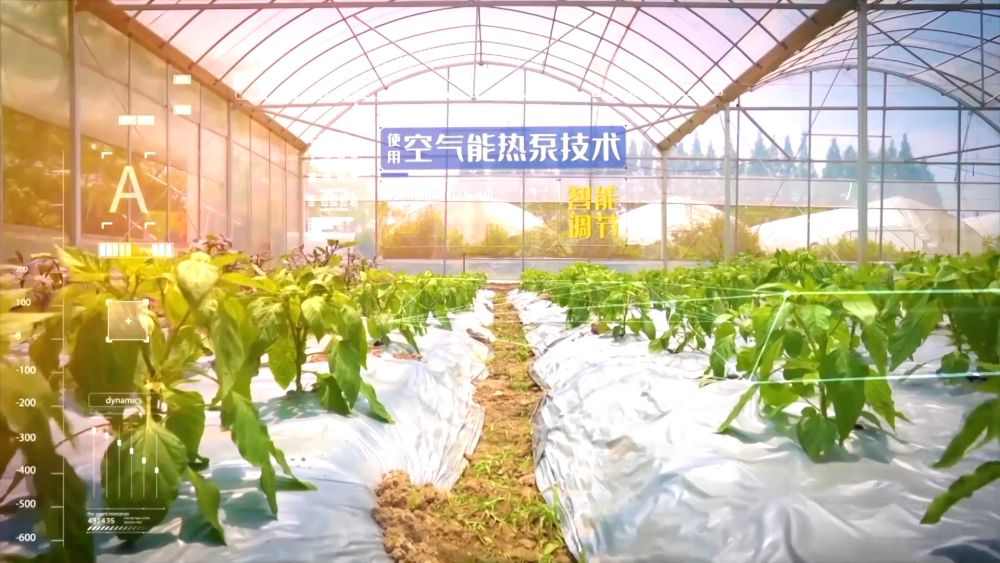 新华视点｜创新驱动 开放共赢：经济高质量发展新图景