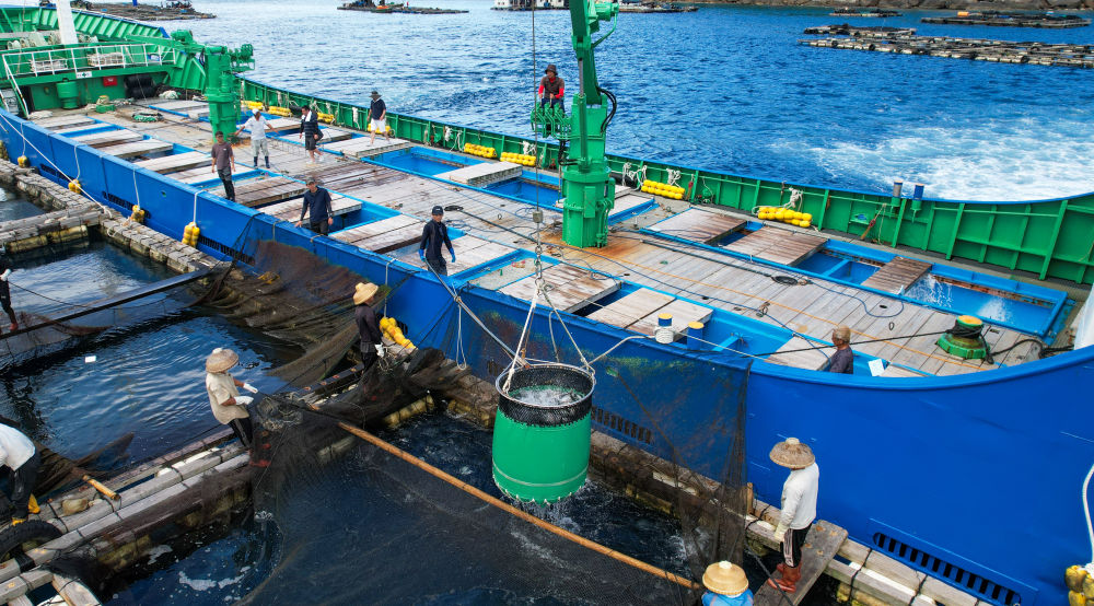 镜头微观察｜海南自贸港：提升口岸通关效率 助力高水平开放