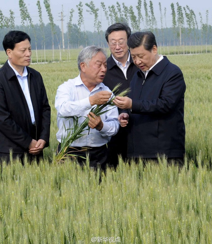 这项研究是进行的｜这也