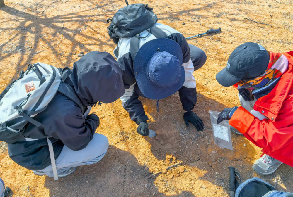 辽宁新发现红山文化遗址44处