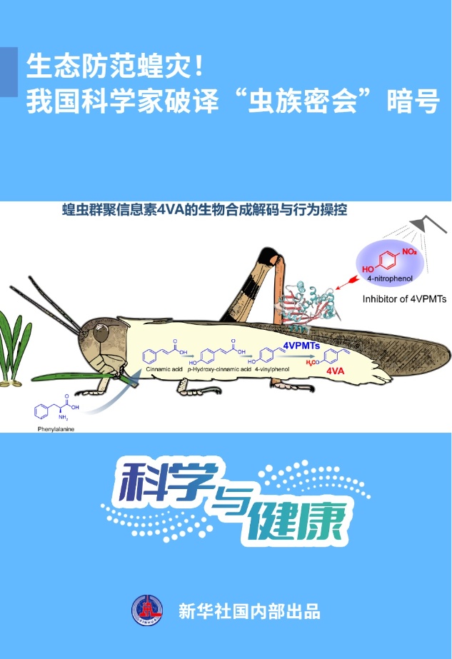 生态防范蝗灾！我国科学家破译“虫族密会”暗号--新蓝网