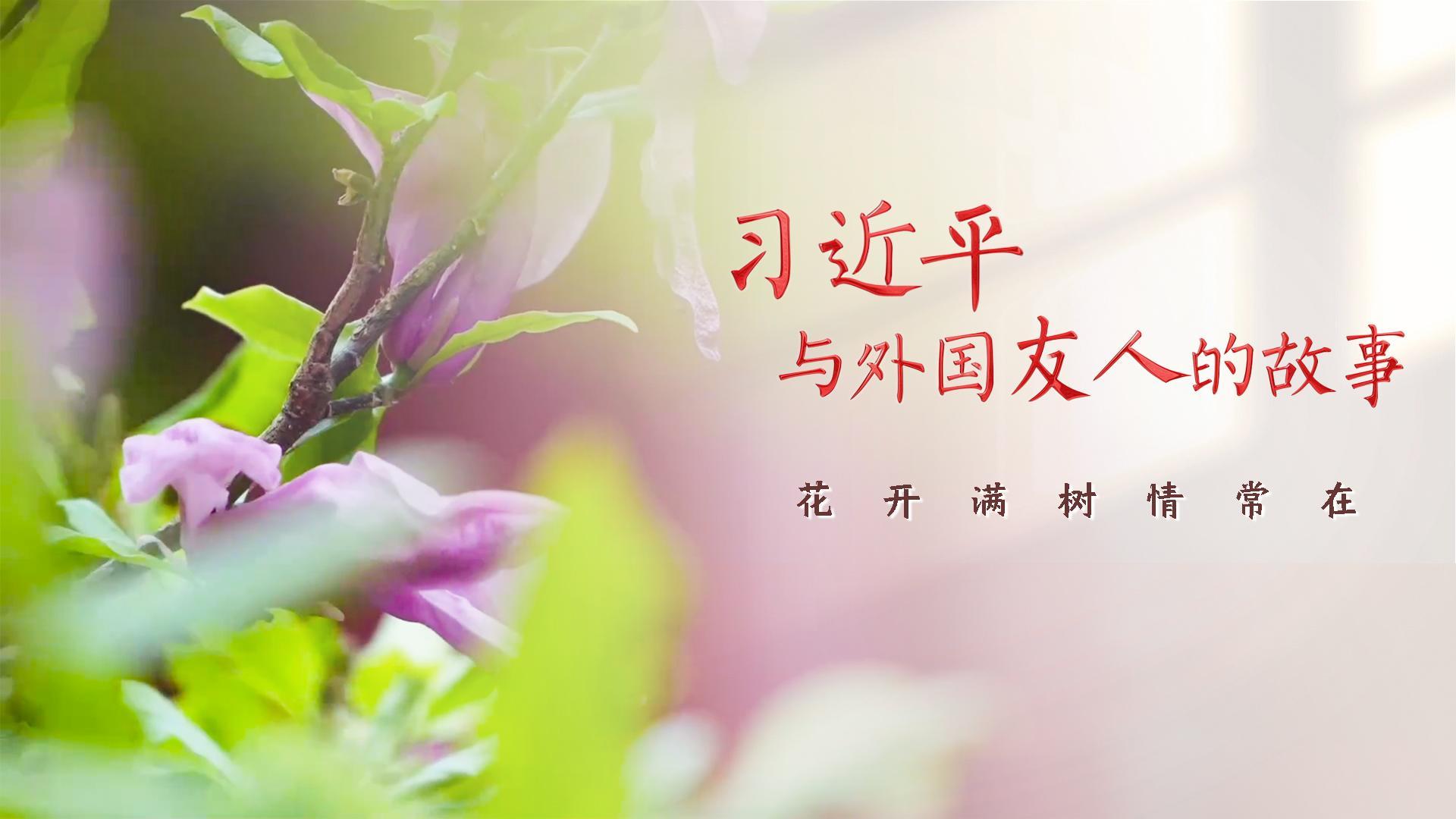 点击查看完整视频
