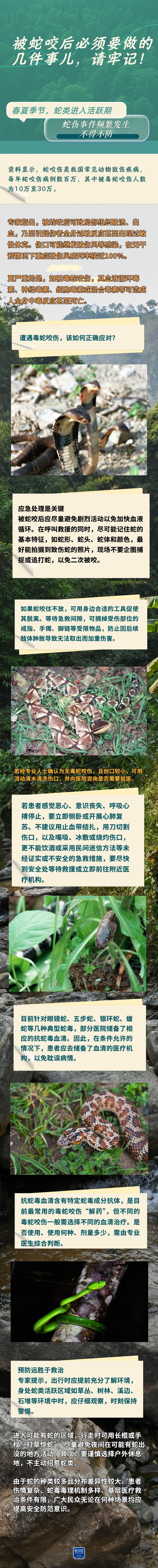 被蛇咬后必须要做的几件事儿,请牢记!