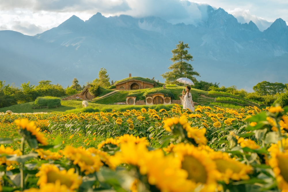 丽江市暑期又有新业态新玩法